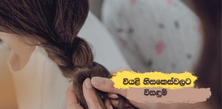 dry hair solutions