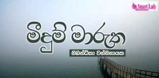 මීදුම් මාරුත by Nibandhika Wanninayake