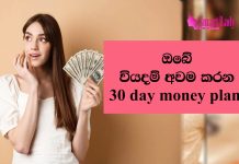 30day money plan