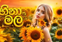 හිනා මල