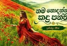 නම නොදන්නා කඳු පන්ති 2