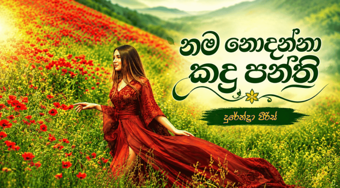 නම නොදන්න කඳු පන්ති 06