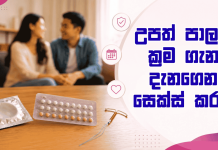 උපත් පාලන ක්රම ගැන දැනගෙන සෙක්ස් කරමු