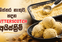බිත්තර නැතුව හදන බටර්ස්කොට්ච් අයිස්ක්රීම්