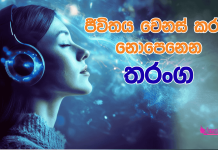 ජීවිතය වෙනස් කරන නොපෙනෙන තරංග වල රහස