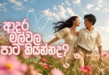 ආදර මල්වල පාට කියන්නද? – 19