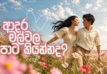 ආදර මල්වල පාට කියන්නද? – 01