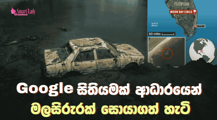 Google සිතියමක් ආධාරයෙන් මලසිරුරක් සොයාගත් හැටි