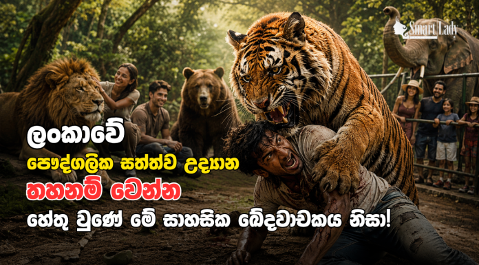 අහුංගල්ල සත්ත්ව උද්යානයේ ඛේදවාචකය