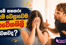 ඔබේ සහකරුත් හැම වෙලාවෙම ආවේගශීලී වෙනවද?