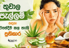 තුවාල පැල්ලම් සඳහා නිවසේදීම කල හැකි ප්රතිකාර