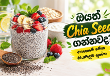 මෙන්න මේ ලෙඩ රෝග තියන අය Chia Seeds කන්නෙ බලාගෙනයී!
