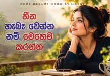 හීන හැබෑ නොවෙන්නේ ඕනෑවට වඩා කතා කරන හින්දද?