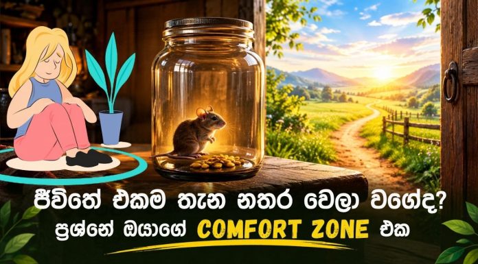 ජීවිතේ එකම තැන නතර වෙලා වගේද? ප්රශ්නේ ශක්තිය උදුරාගන්නා සුවපහසුව!
